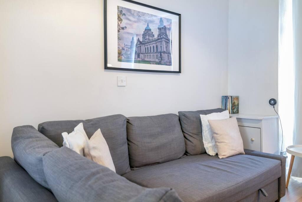 Cosy 2 Bedroom Town House Close To City Centre Belfast Exterior photo